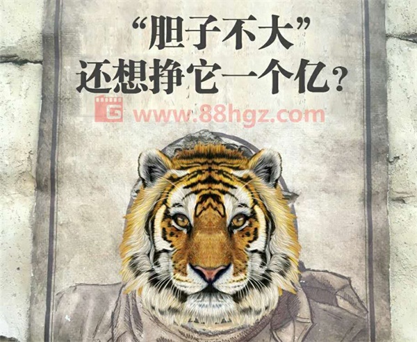 還能更高嗎？與迪瑪希共鳴的，是我們追隨企業(yè)宣傳片的信仰